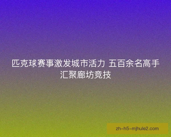 匹克球赛事激发城市活力 五百余名高手汇聚廊坊竞技